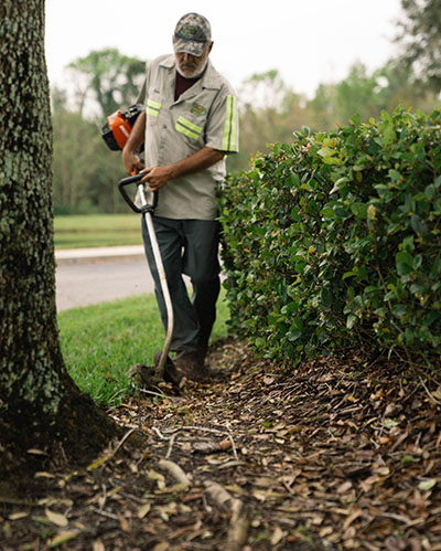 Commercial Landscaping